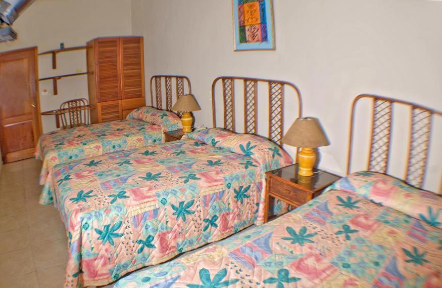 Carey House Hotel سانتو دومينجو المظهر الخارجي الصورة